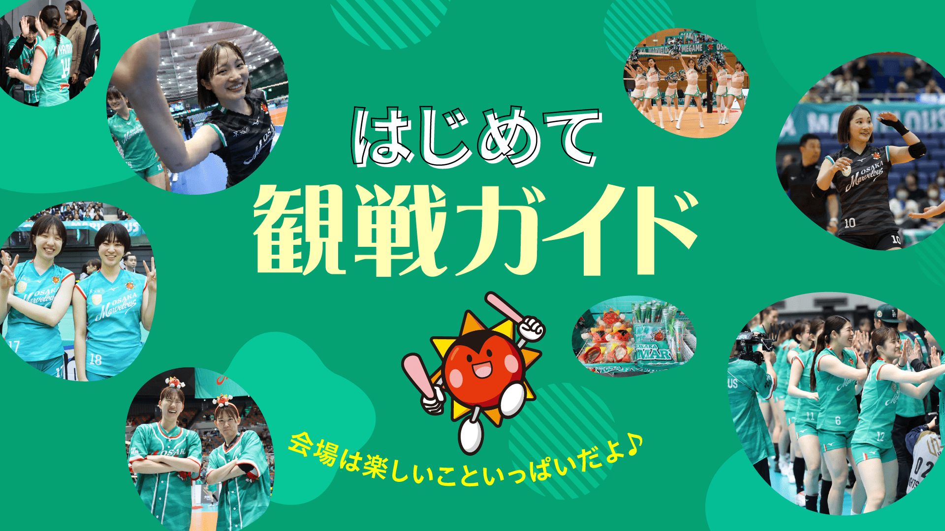 はじめて観戦ガイド